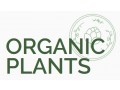 ORGANIC PLANTS Sp. z o.o.